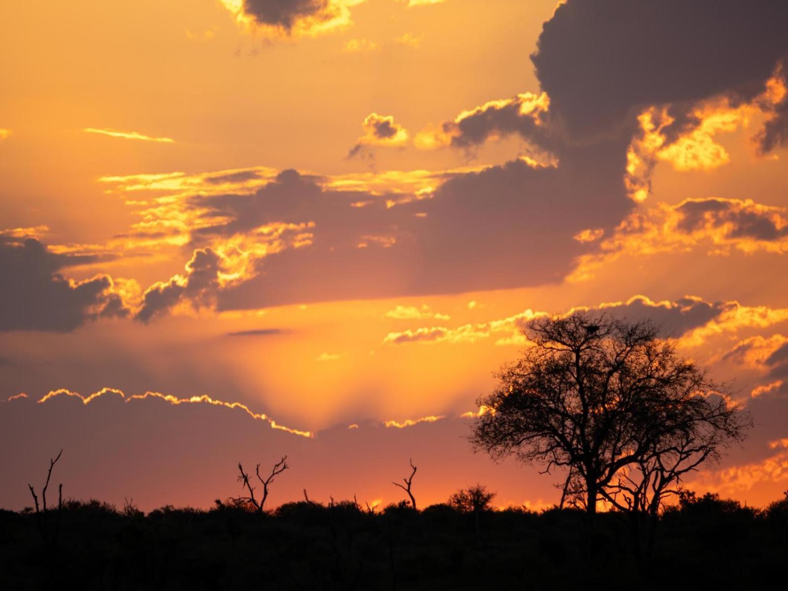 Grace Of Africa, Couples 5 Star Nature Lodge Marloth Park Bagian luar foto