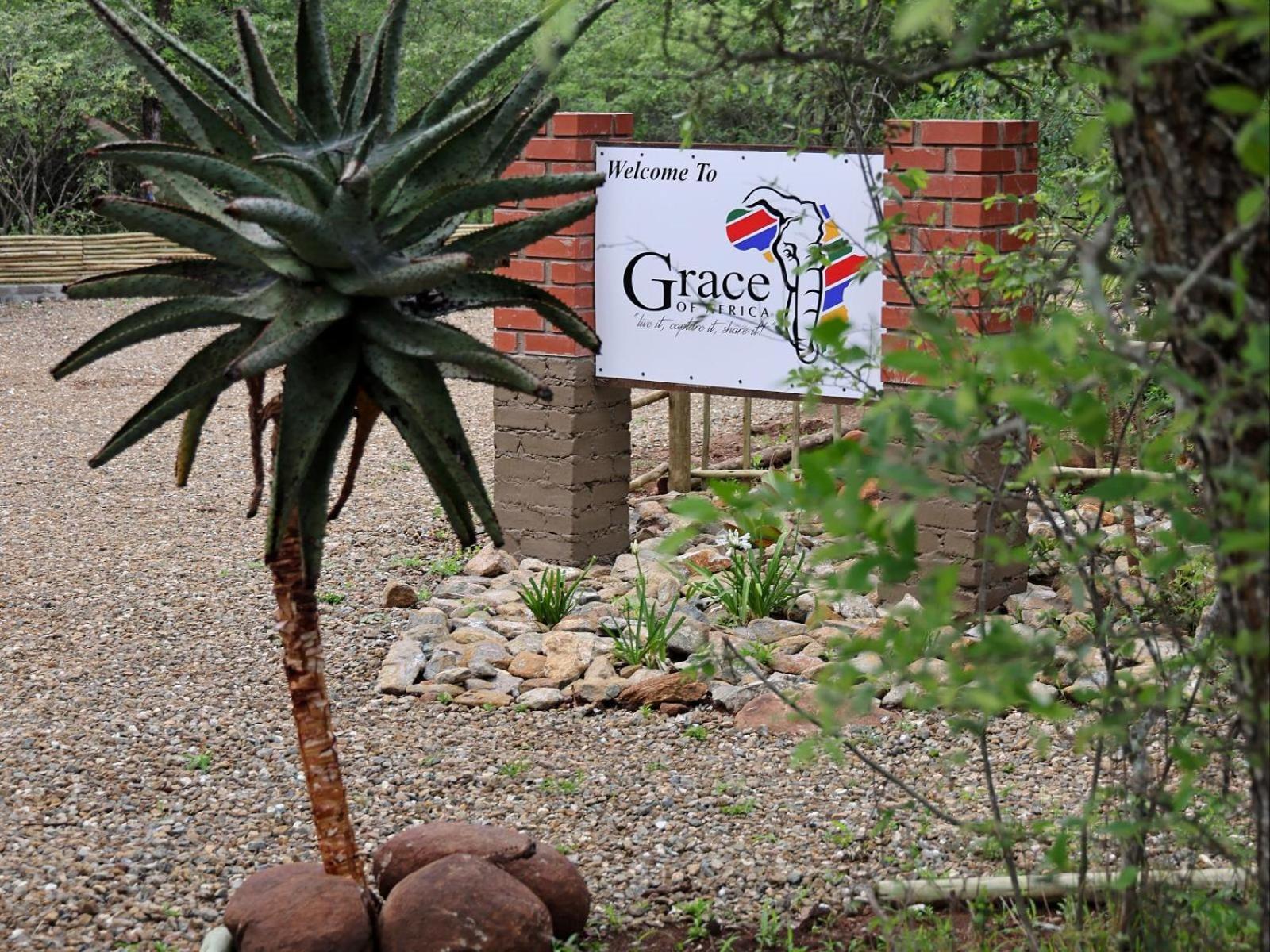 Grace Of Africa, Couples 5 Star Nature Lodge Marloth Park Bagian luar foto